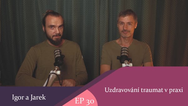 22. 8. 2026 Uzdravování traumat v praxi (celý díl)