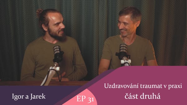 7. 9. 2026 Uzdravování traumat v praxi díl druhý (celý díl)